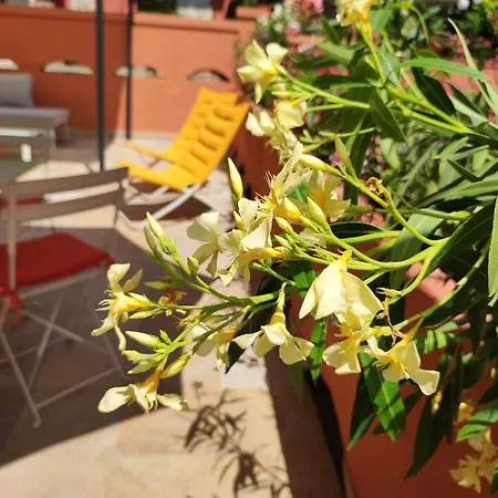 Casa Alessandra Sanremo